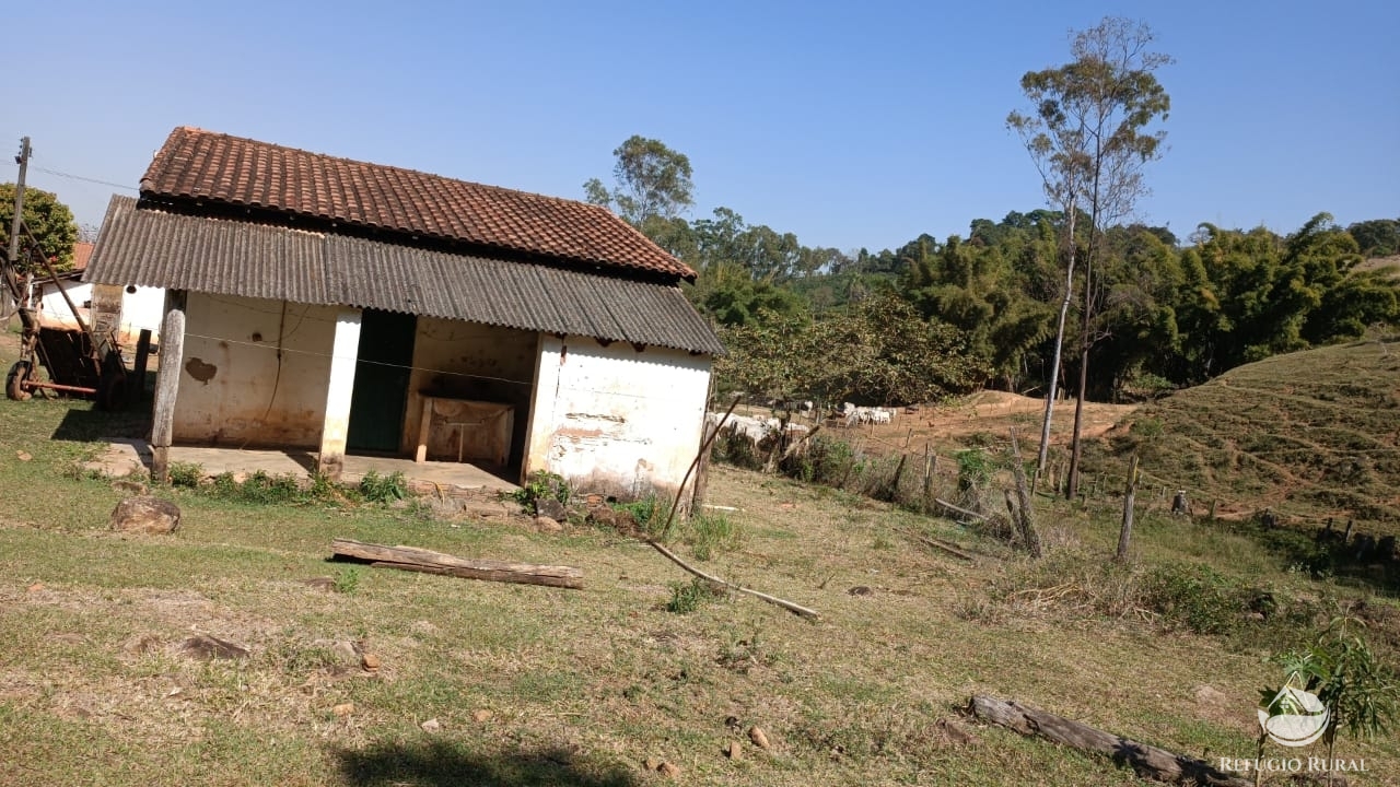 Fazenda à venda com 1 quarto, 532400m² - Foto 18