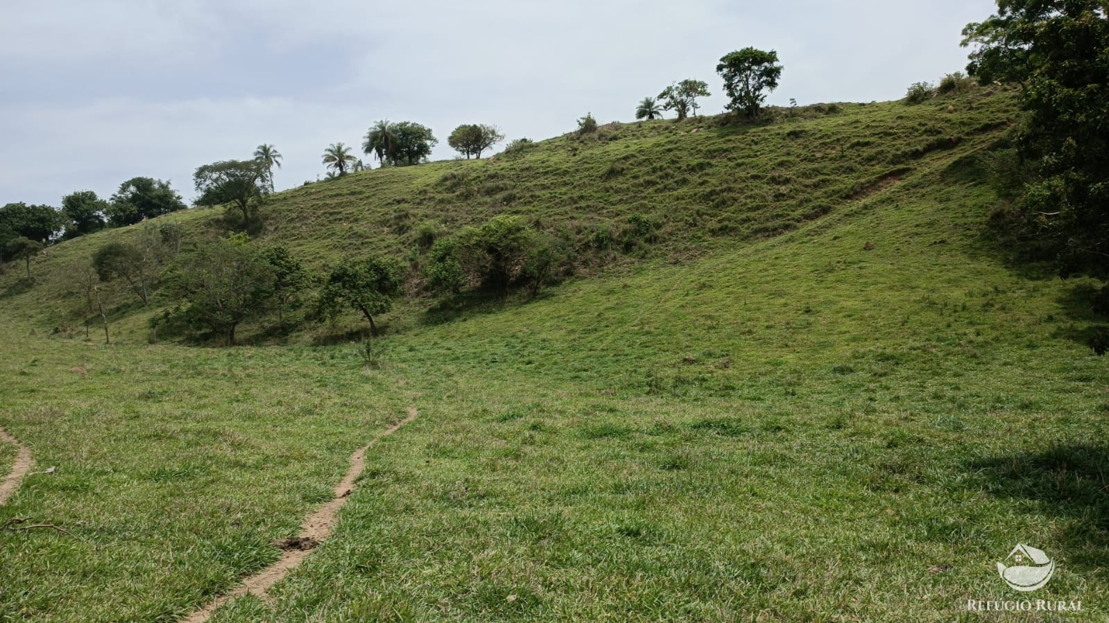 Fazenda à venda com 1 quarto, 532400m² - Foto 23