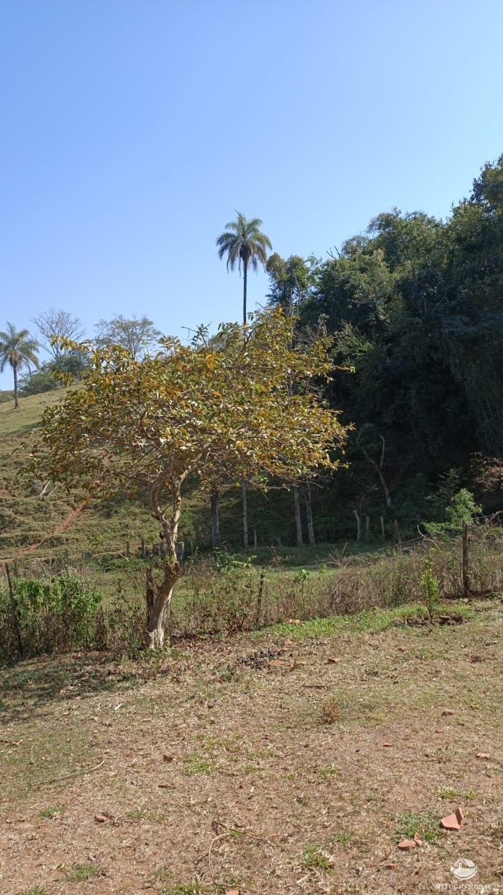 Fazenda à venda com 1 quarto, 532400m² - Foto 5