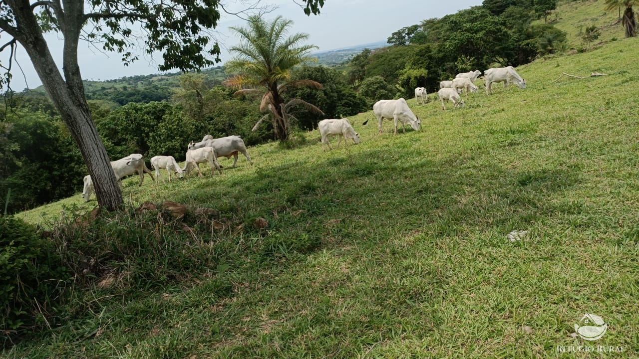 Fazenda à venda com 1 quarto, 532400m² - Foto 1