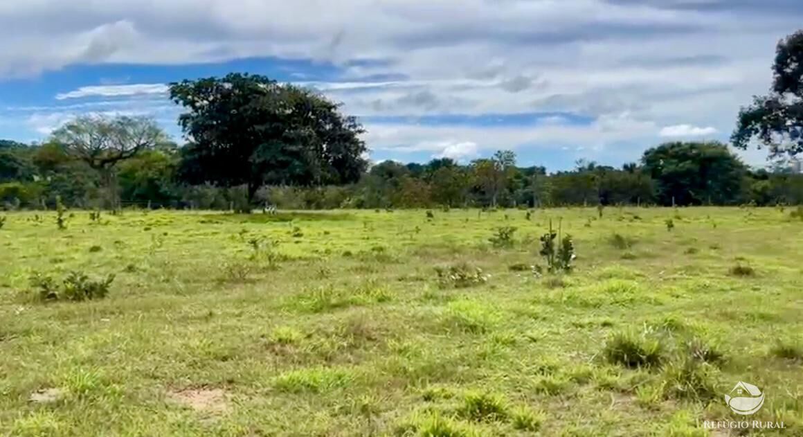 Fazenda à venda com 3 quartos, 3146000m² - Foto 9