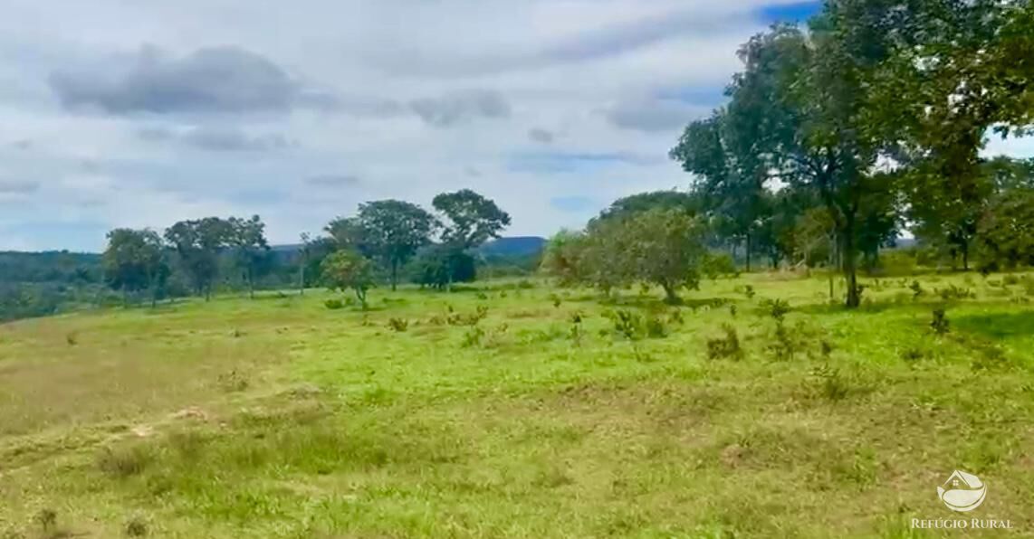 Fazenda à venda com 3 quartos, 3146000m² - Foto 20