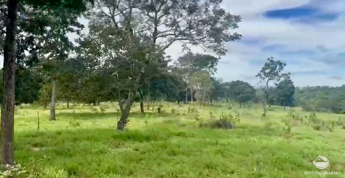 Fazenda à venda com 3 quartos, 3146000m² - Foto 3