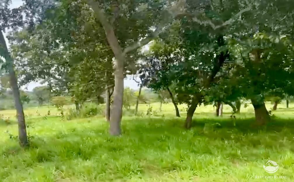 Fazenda à venda com 3 quartos, 3146000m² - Foto 19