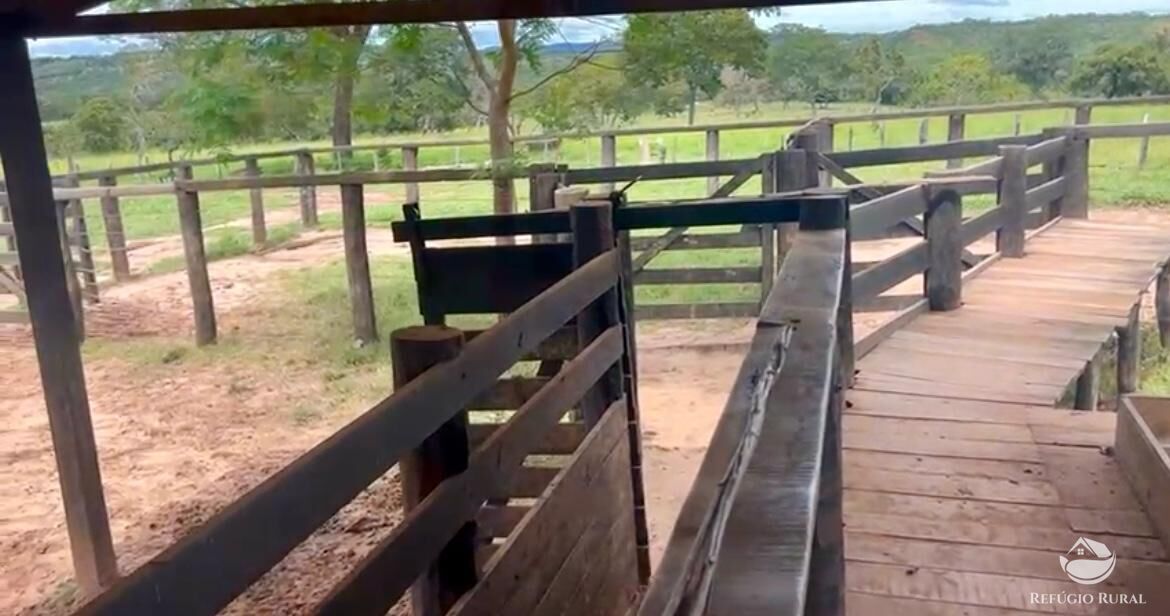 Fazenda à venda com 3 quartos, 3146000m² - Foto 18