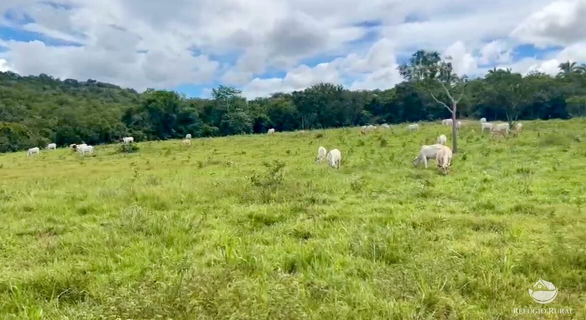 Fazenda à venda com 3 quartos, 3146000m² - Foto 11