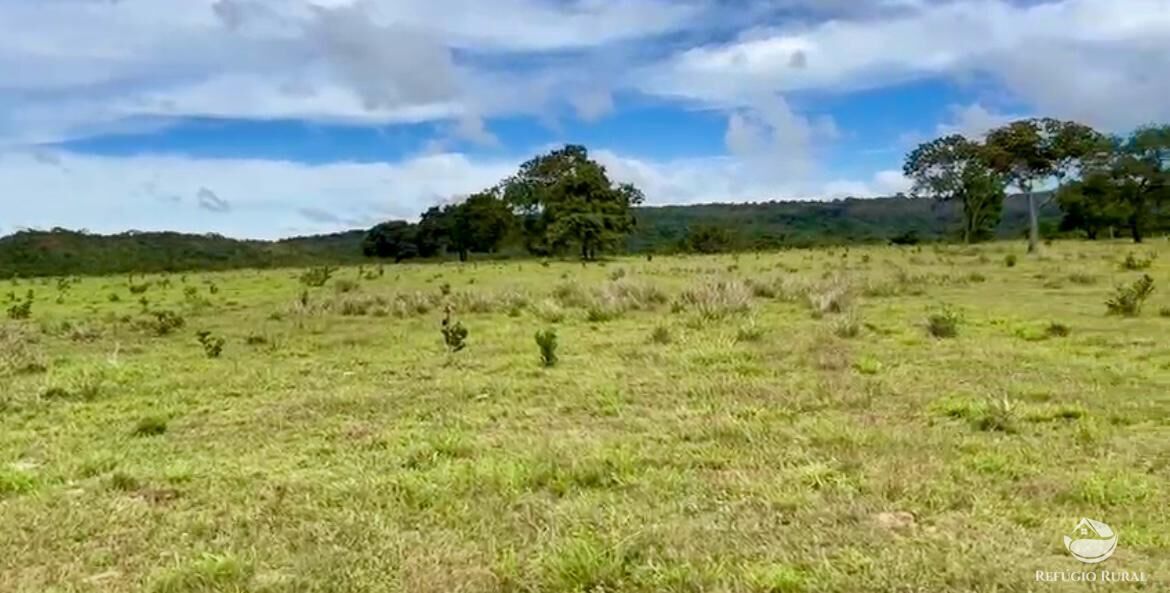 Fazenda à venda com 3 quartos, 3146000m² - Foto 10
