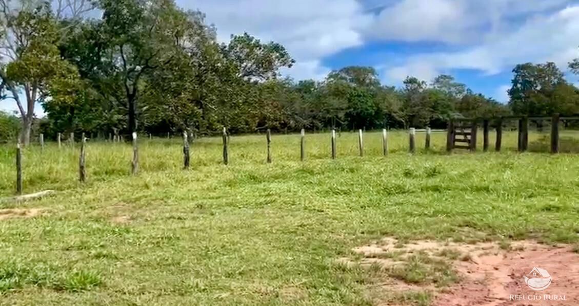 Fazenda à venda com 3 quartos, 3146000m² - Foto 26