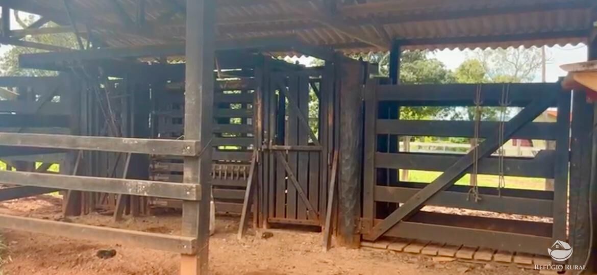 Fazenda à venda com 3 quartos, 3146000m² - Foto 15