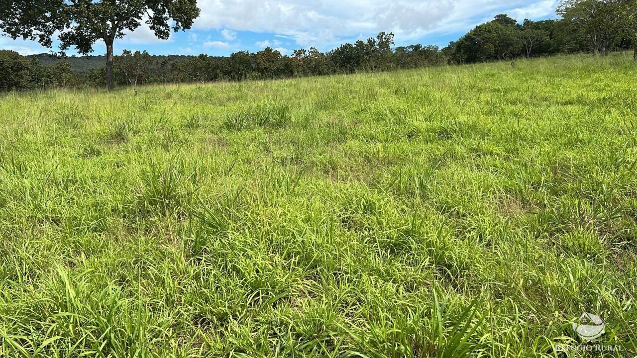 Fazenda à venda com 3 quartos, 3146000m² - Foto 4