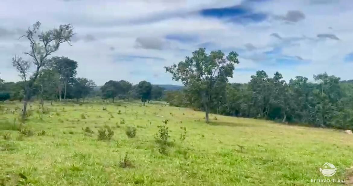 Fazenda à venda com 3 quartos, 3146000m² - Foto 14