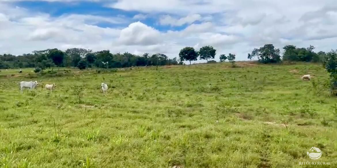 Fazenda à venda com 3 quartos, 3146000m² - Foto 12