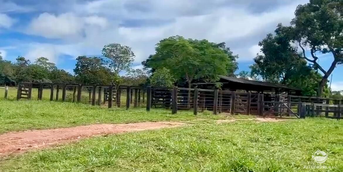 Fazenda à venda com 3 quartos, 3146000m² - Foto 24