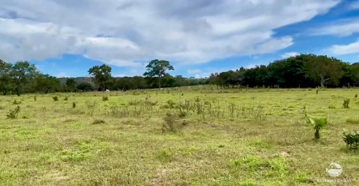 Fazenda à venda com 3 quartos, 3146000m² - Foto 8