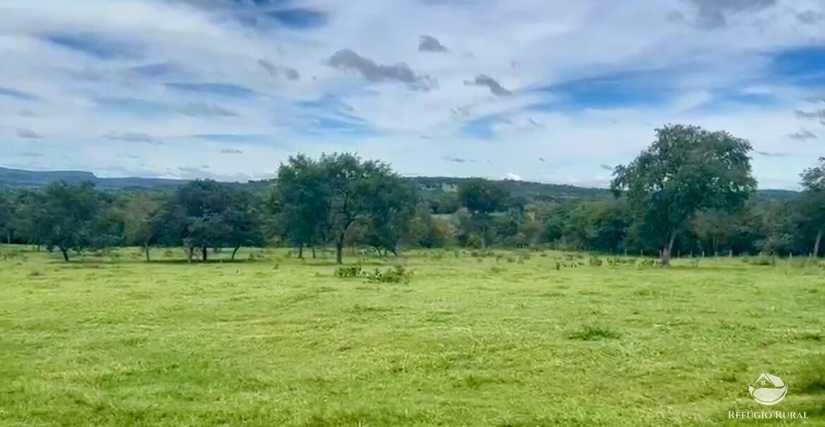 Fazenda à venda com 3 quartos, 3146000m² - Foto 23