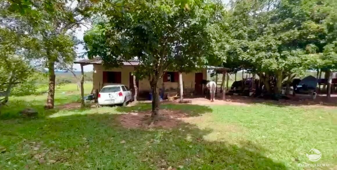 Fazenda à venda com 3 quartos, 3146000m² - Foto 27