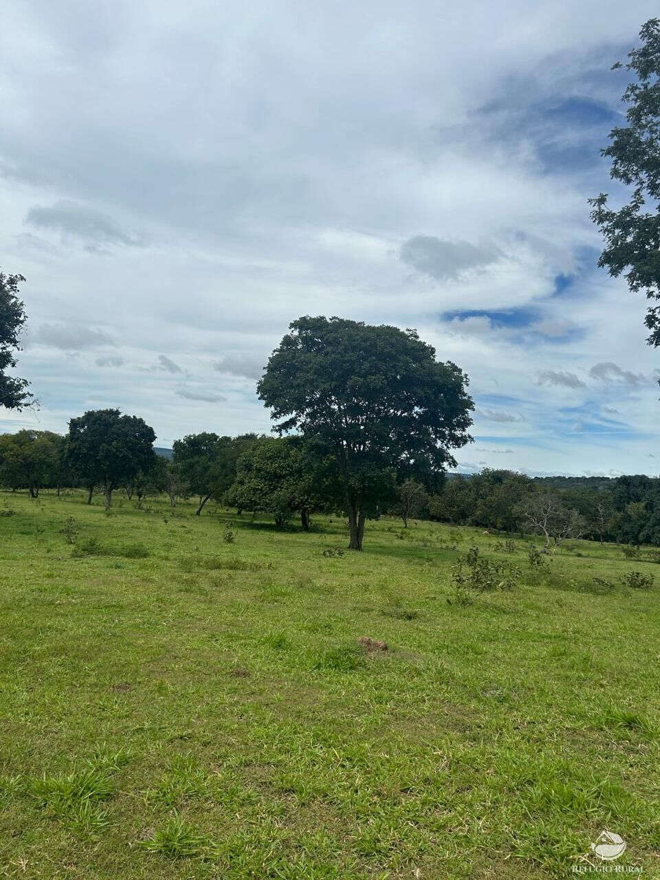 Fazenda à venda com 3 quartos, 3146000m² - Foto 6