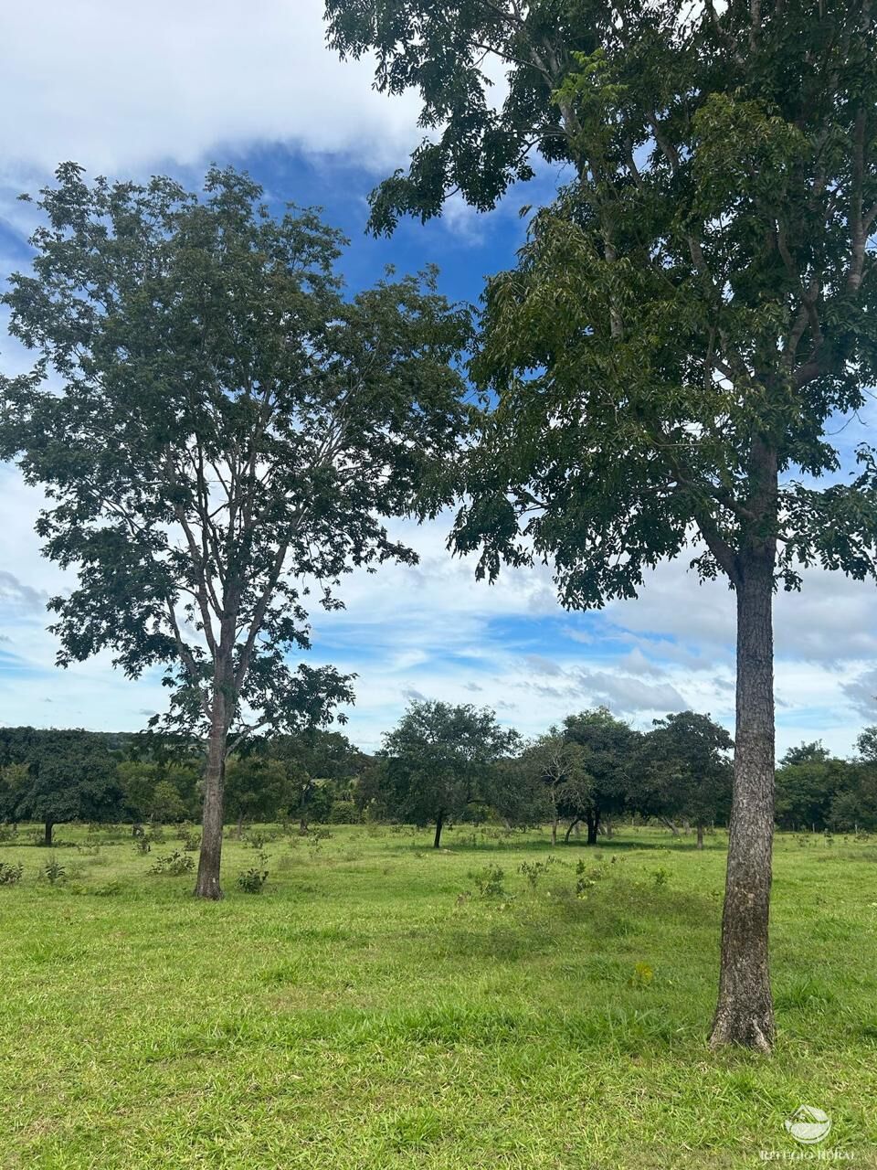 Fazenda à venda com 3 quartos, 3146000m² - Foto 5