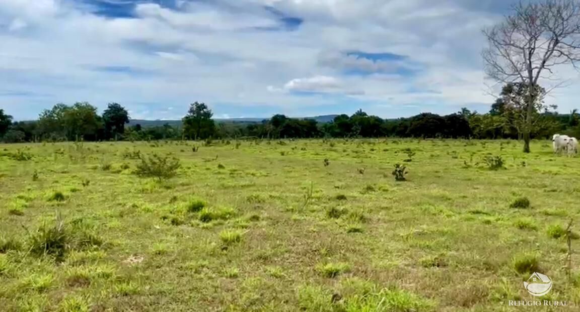 Fazenda à venda com 3 quartos, 3146000m² - Foto 28