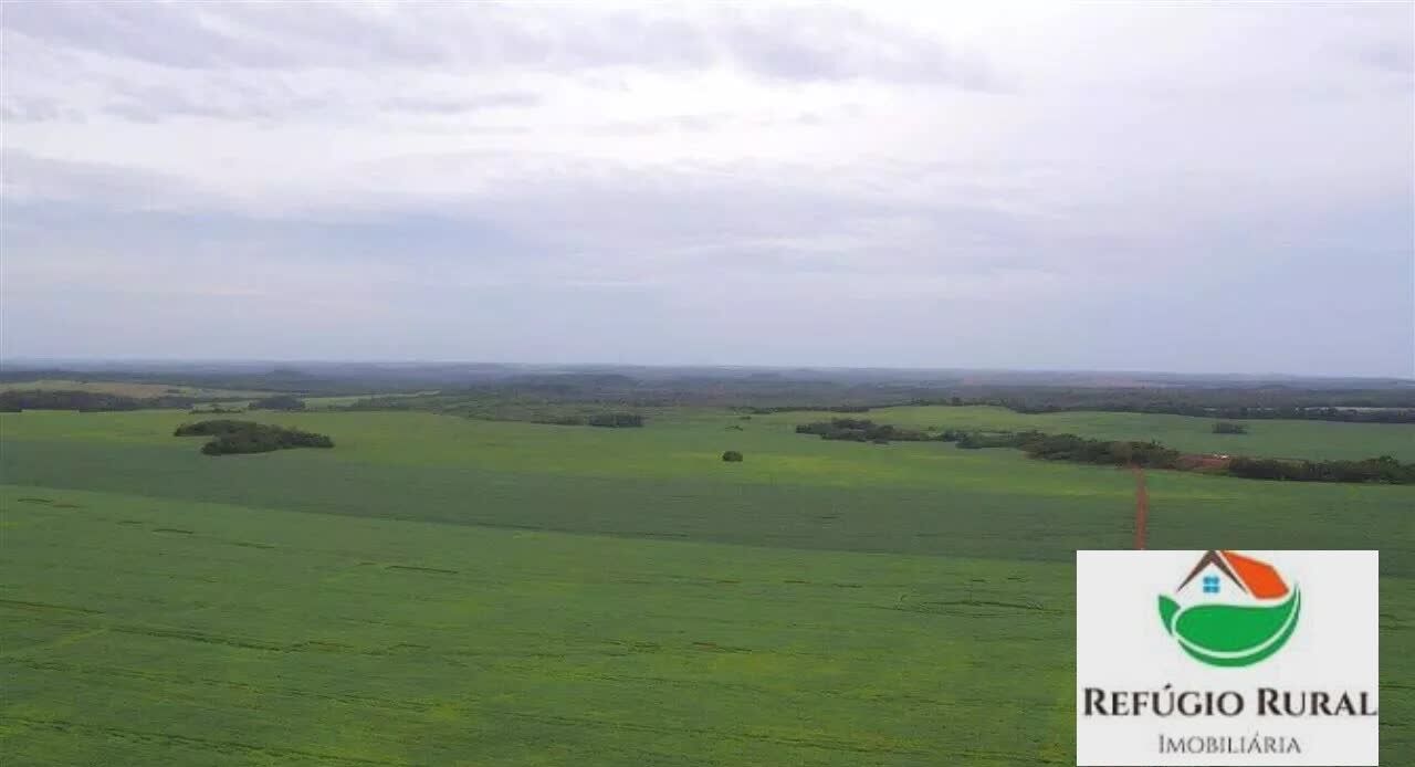 Fazenda à venda com 1 quarto, 32900000m² - Foto 4