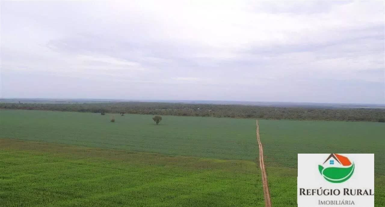 Fazenda à venda com 1 quarto, 32900000m² - Foto 3