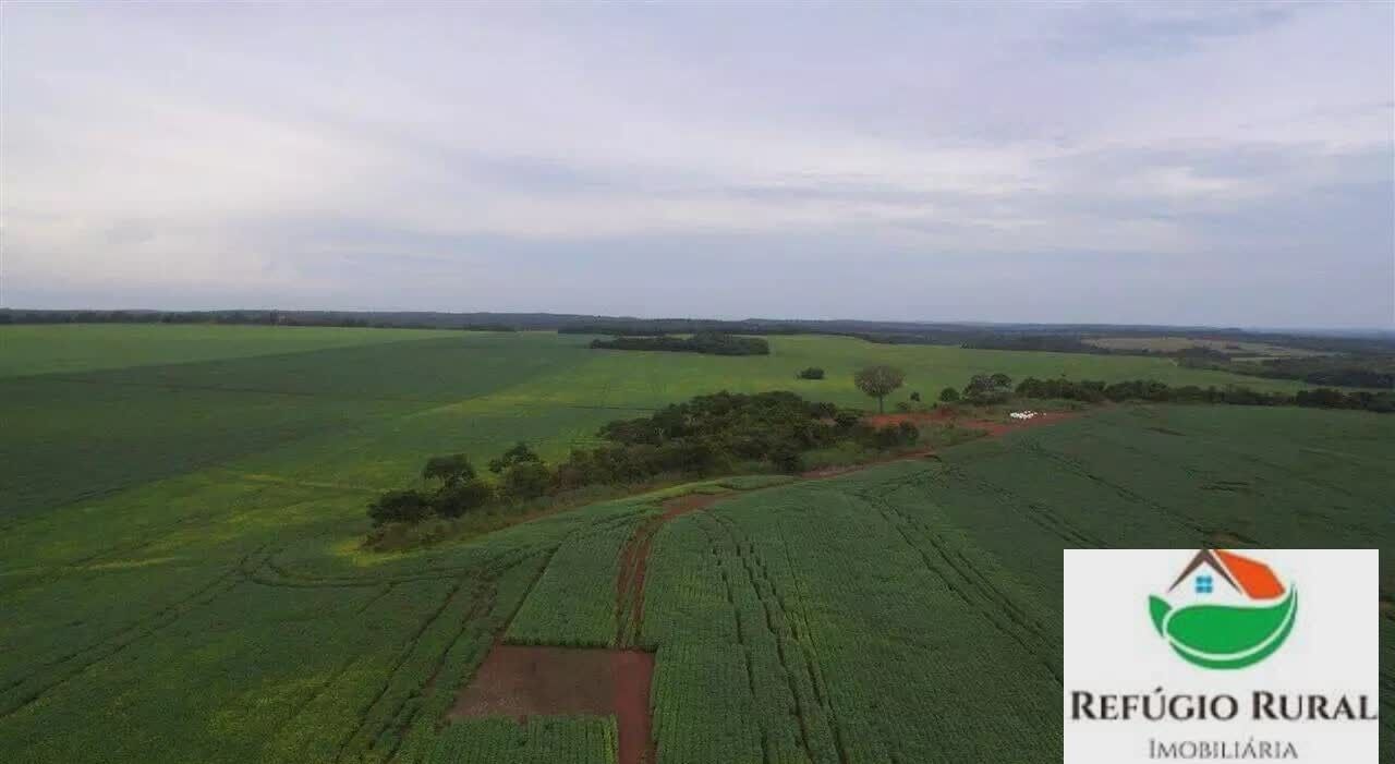 Fazenda à venda com 1 quarto, 32900000m² - Foto 1