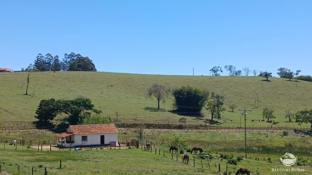 Terreno, 8 hectares - Foto 6