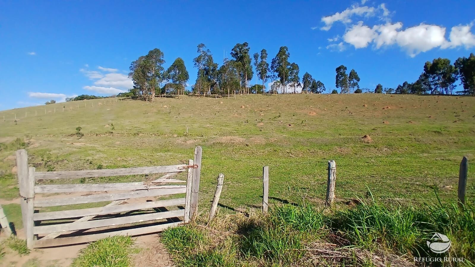 Terreno, 8 hectares - Foto 1