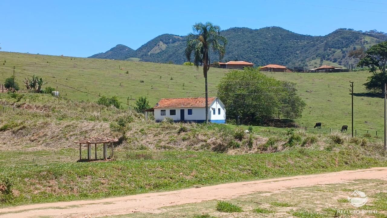 Terreno, 8 hectares - Foto 3