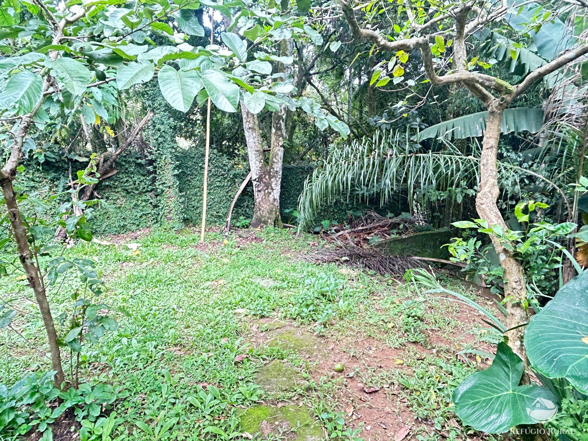 Fazenda à venda com 3 quartos, 672m² - Foto 10