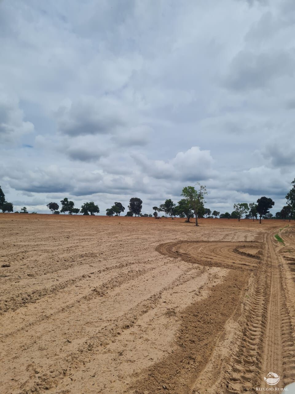 Fazenda à venda com 6 quartos, 63000000m² - Foto 7