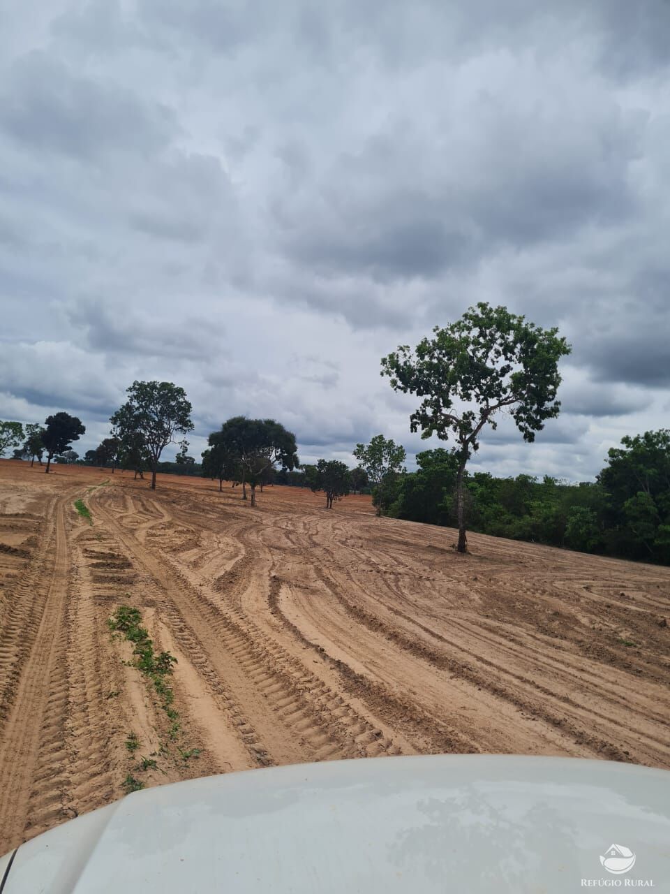 Fazenda à venda com 6 quartos, 63000000m² - Foto 4