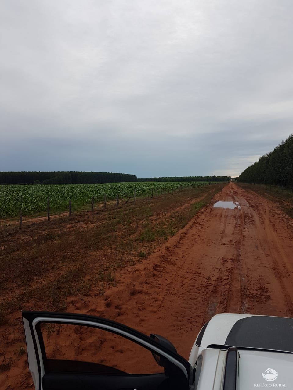 Fazenda à venda com 6 quartos, 63000000m² - Foto 12