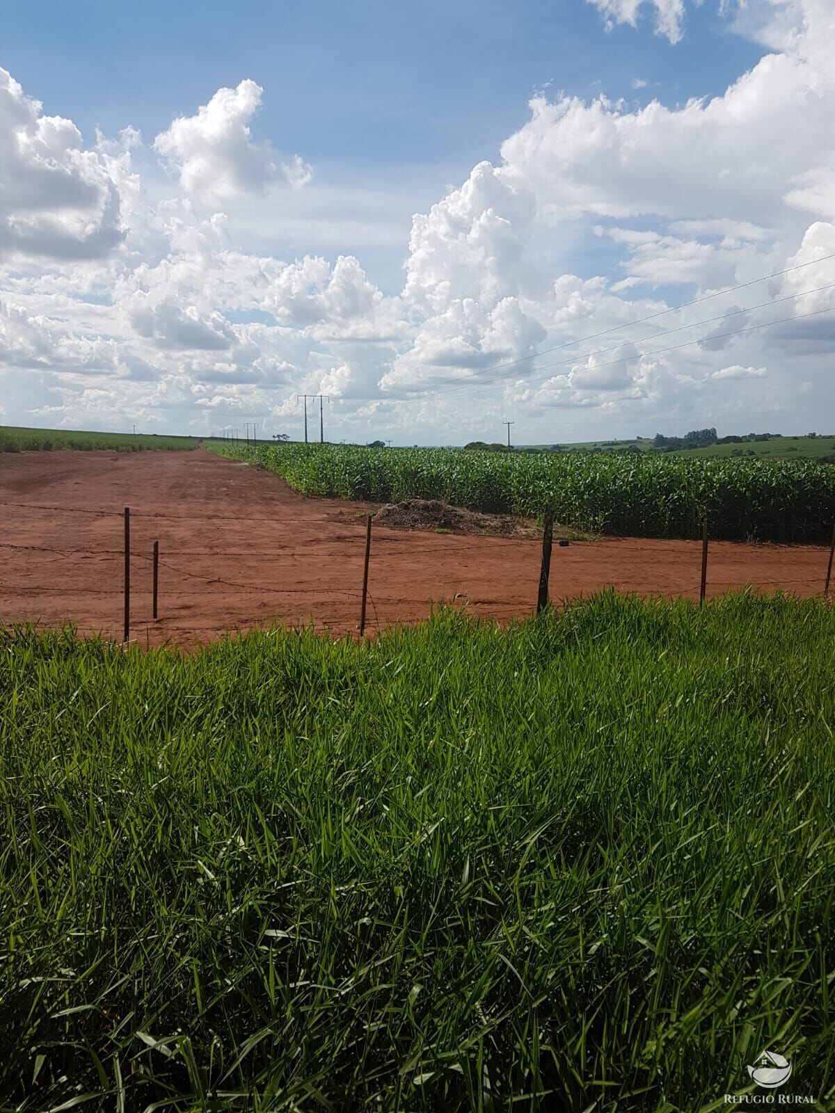 Fazenda à venda com 6 quartos, 63000000m² - Foto 9