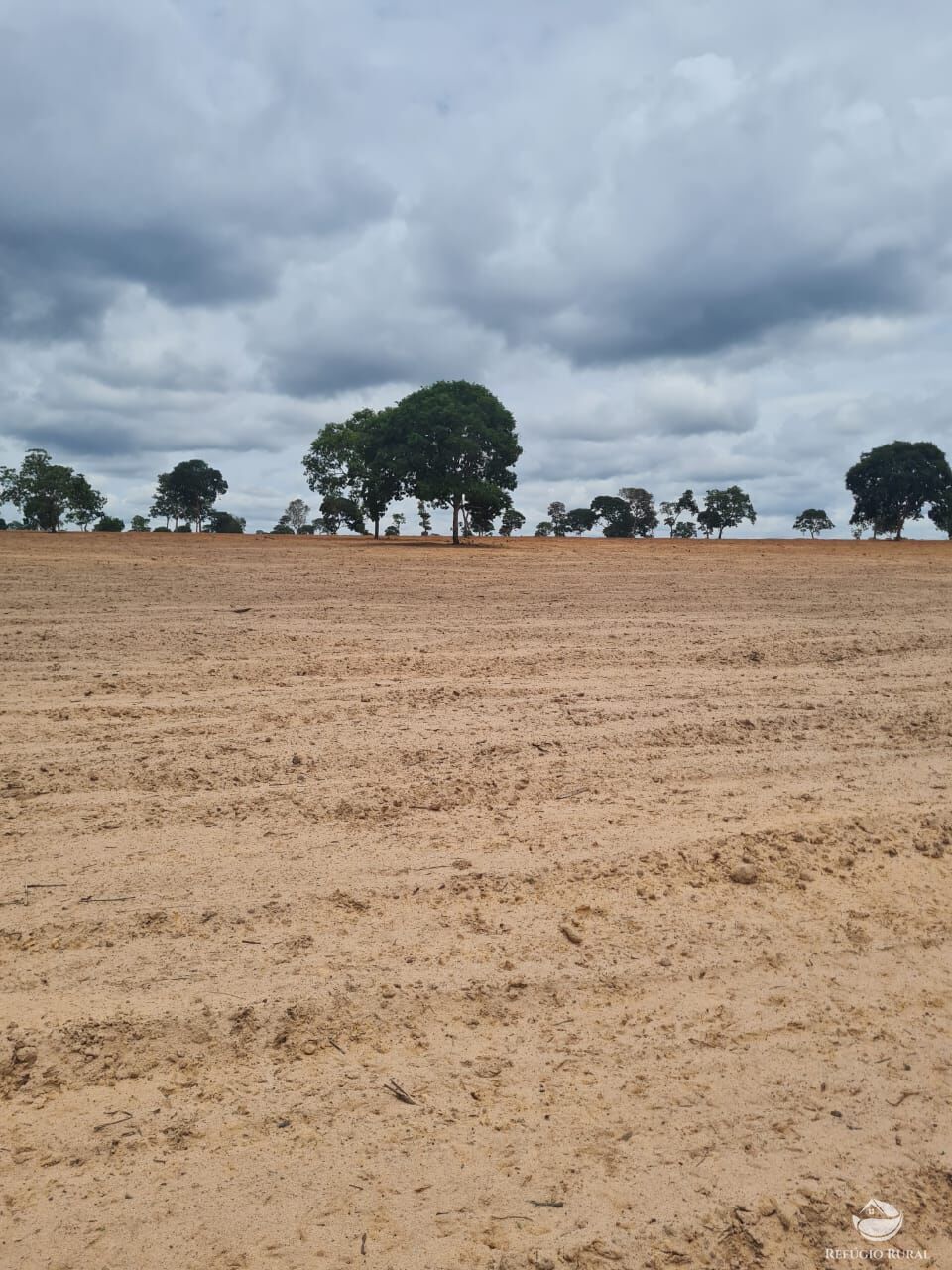 Fazenda à venda com 6 quartos, 63000000m² - Foto 5