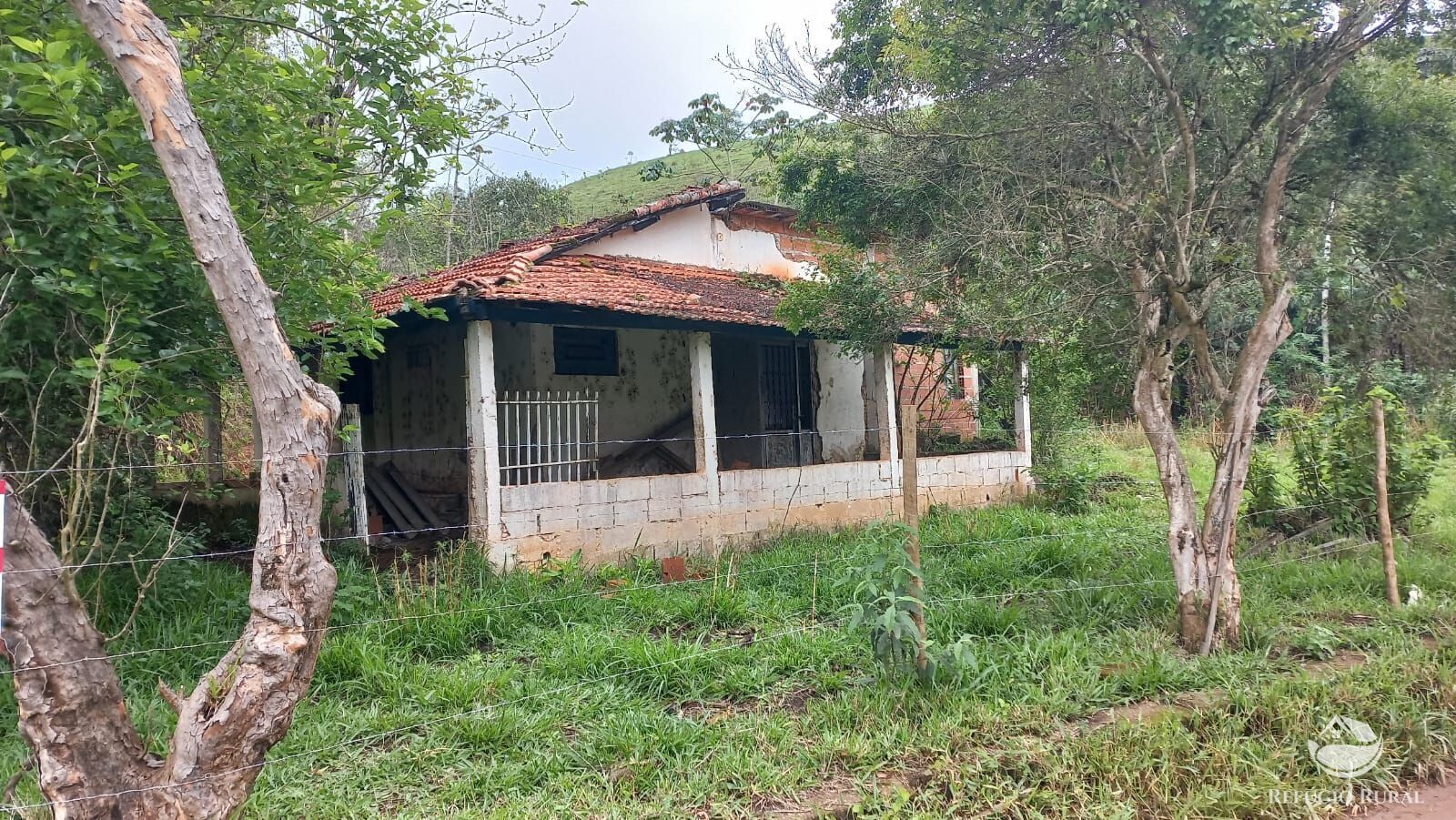 Fazenda, 4 hectares - Foto 20