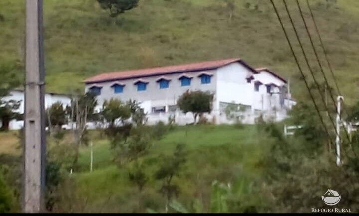 Fazenda, 4 hectares - Foto 13