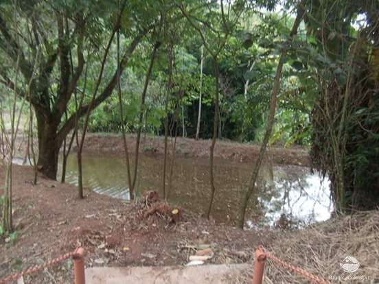 Fazenda, 4 hectares - Foto 17