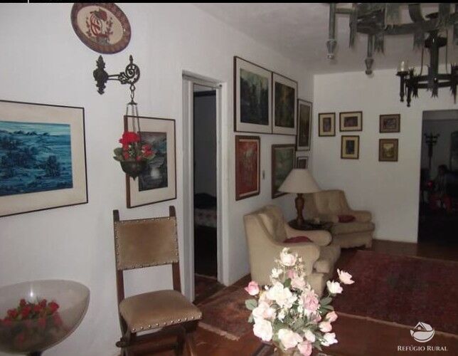 Fazenda, 4 hectares - Foto 8