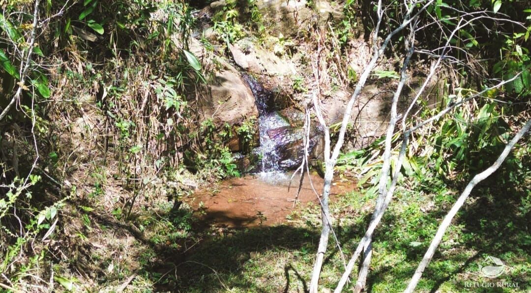 Fazenda, 4 hectares - Foto 19