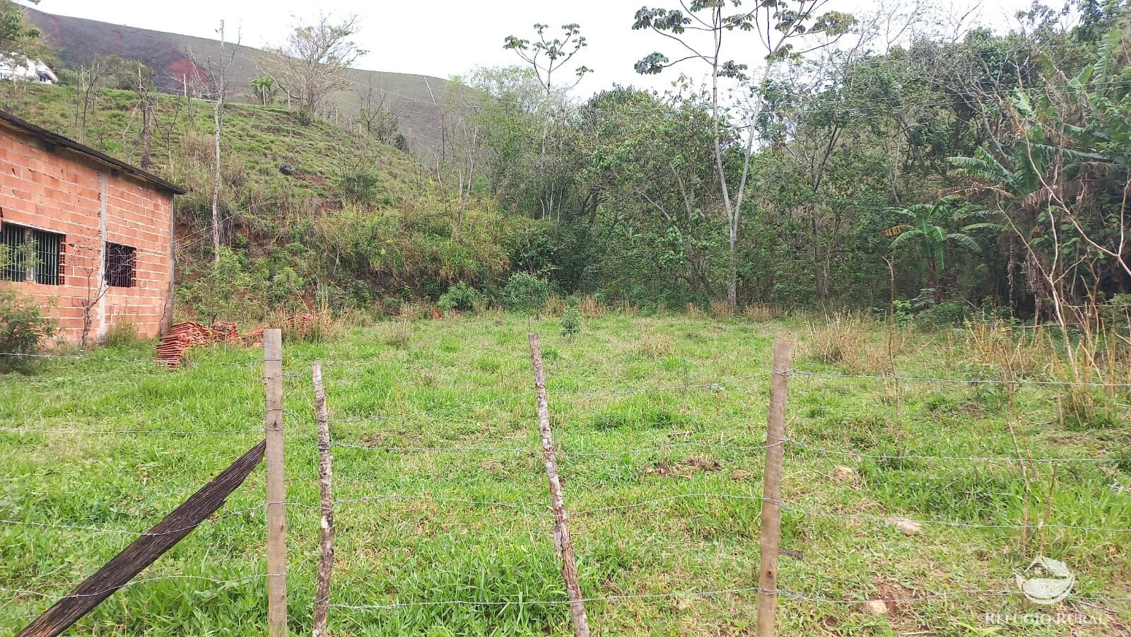 Fazenda, 4 hectares - Foto 15