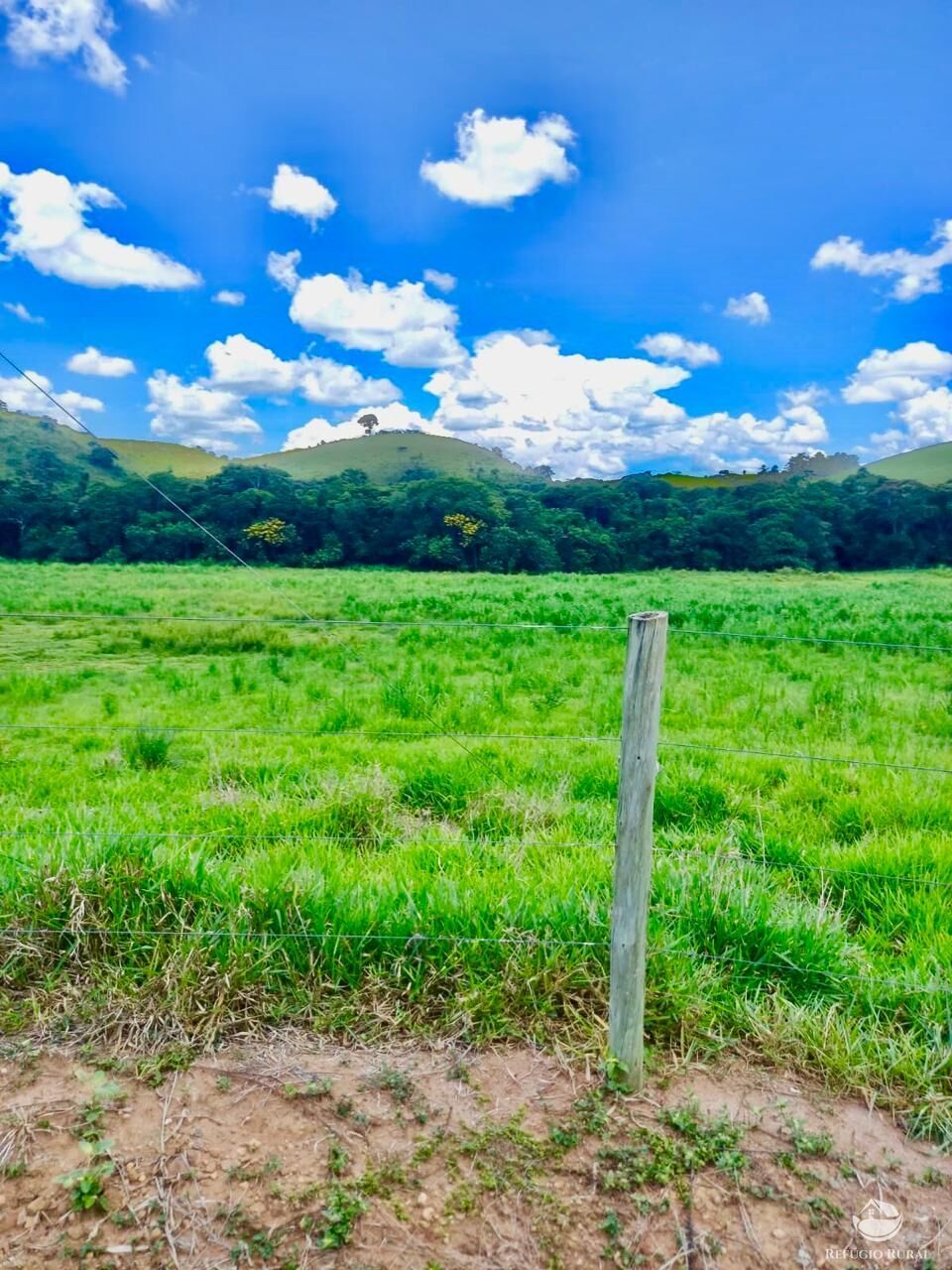 Fazenda à venda com 2 quartos, 4428600m² - Foto 26
