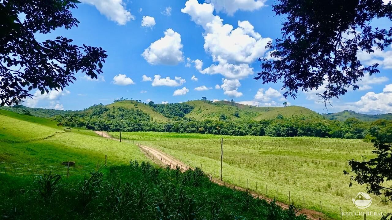Fazenda à venda com 2 quartos, 4428600m² - Foto 3