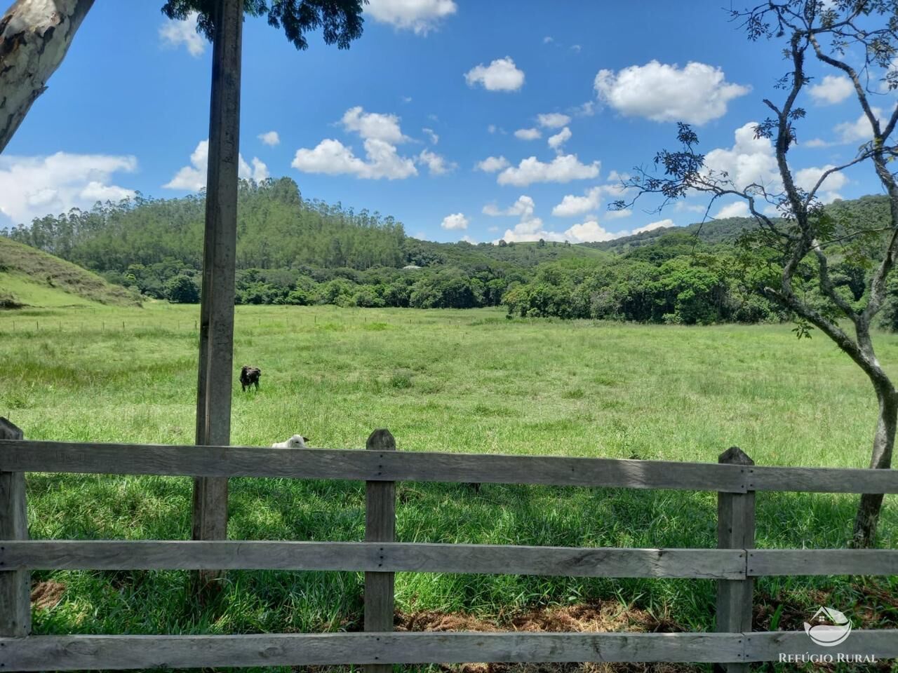 Fazenda à venda com 2 quartos, 4428600m² - Foto 10