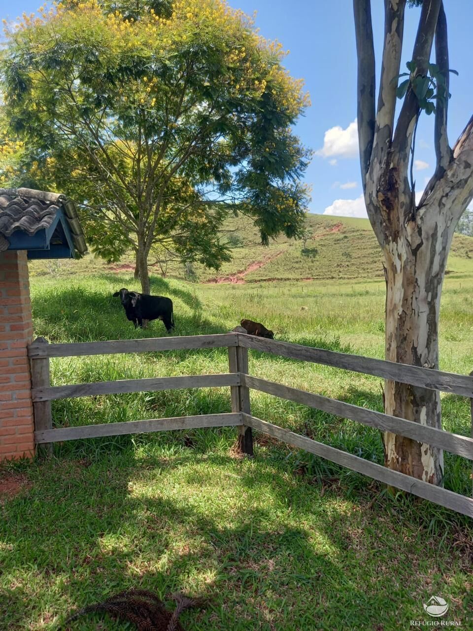 Fazenda à venda com 2 quartos, 4428600m² - Foto 9