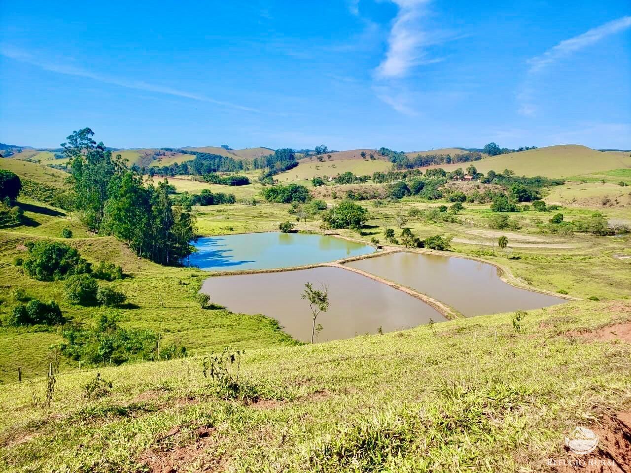 Fazenda à venda com 2 quartos, 4428600m² - Foto 12