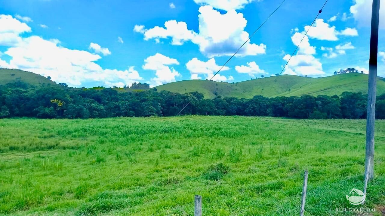 Fazenda à venda com 2 quartos, 4428600m² - Foto 25