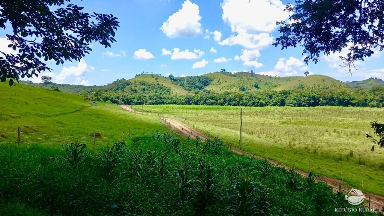 Fazenda à venda com 2 quartos, 4428600m² - Foto 2