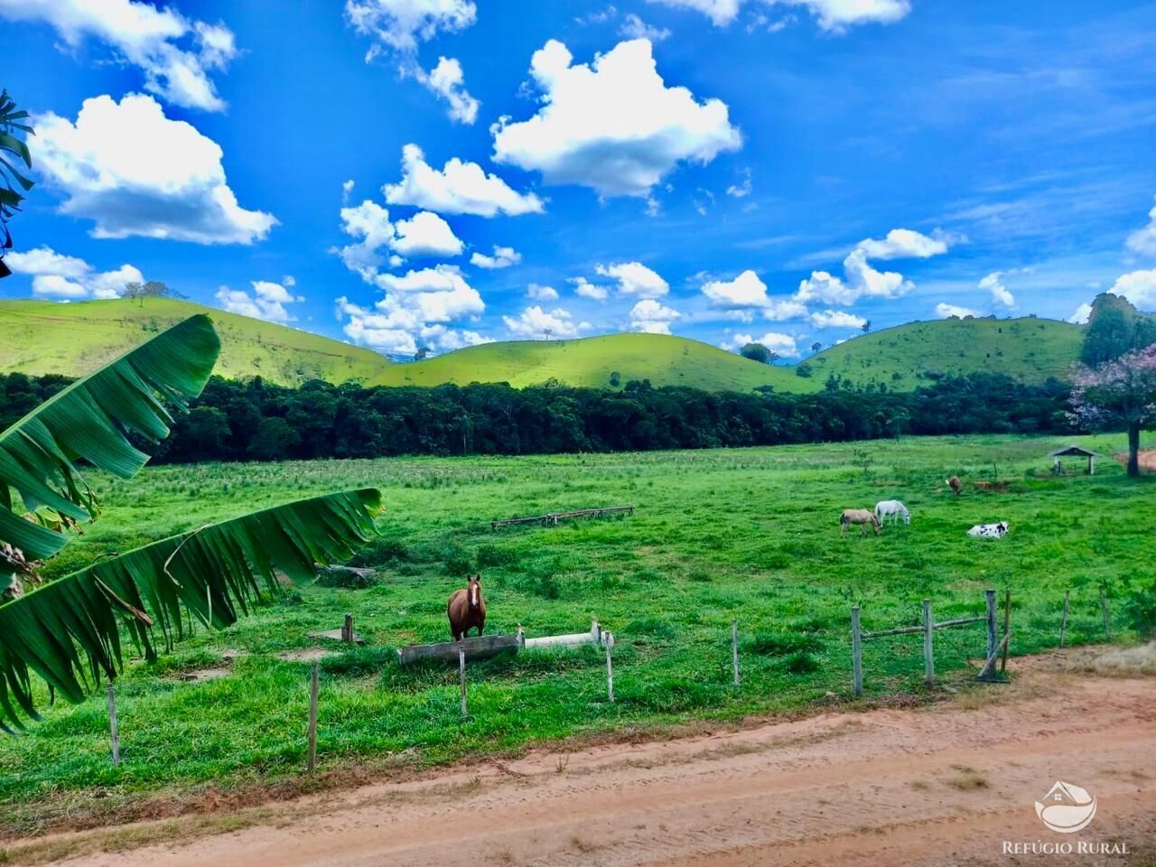 Fazenda à venda com 2 quartos, 4428600m² - Foto 4
