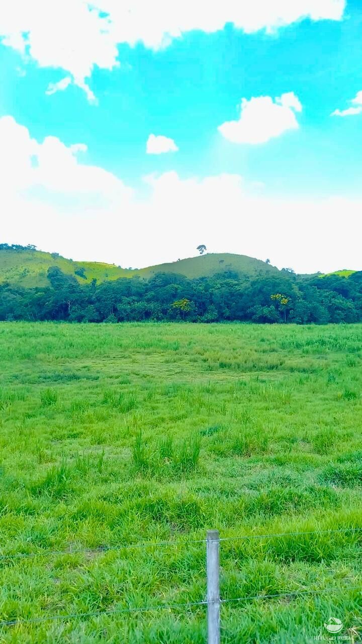 Fazenda à venda com 2 quartos, 4428600m² - Foto 7